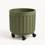 Gardout Rolling Citrus Tree Planter product image